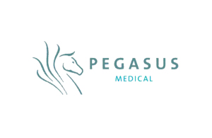 pegasus-case-management-active-care-group